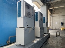 �۴ļ������顼 REI�ʥ쥤�� ��