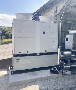 �۴ļ������顼 REI�ʥ쥤�� ��